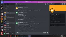 Статус дмвар1.jpg